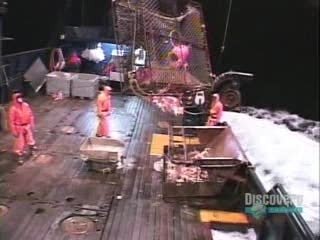 Сезон 1 Серия 2